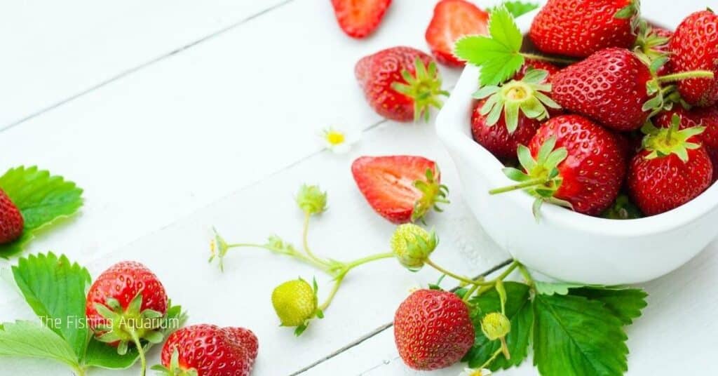 benefits of eating strawberries for tadpoles