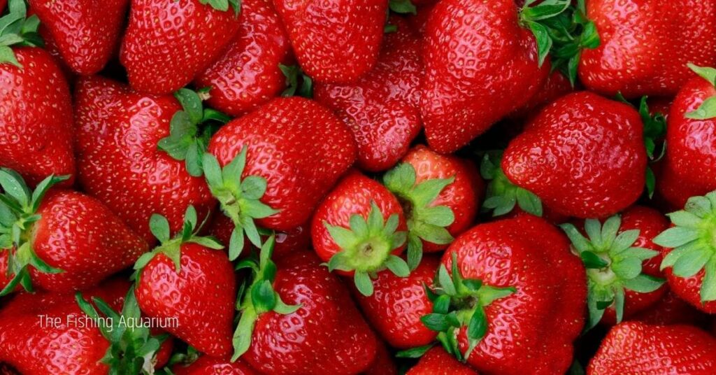 does eating strawberries can harm tadpoles