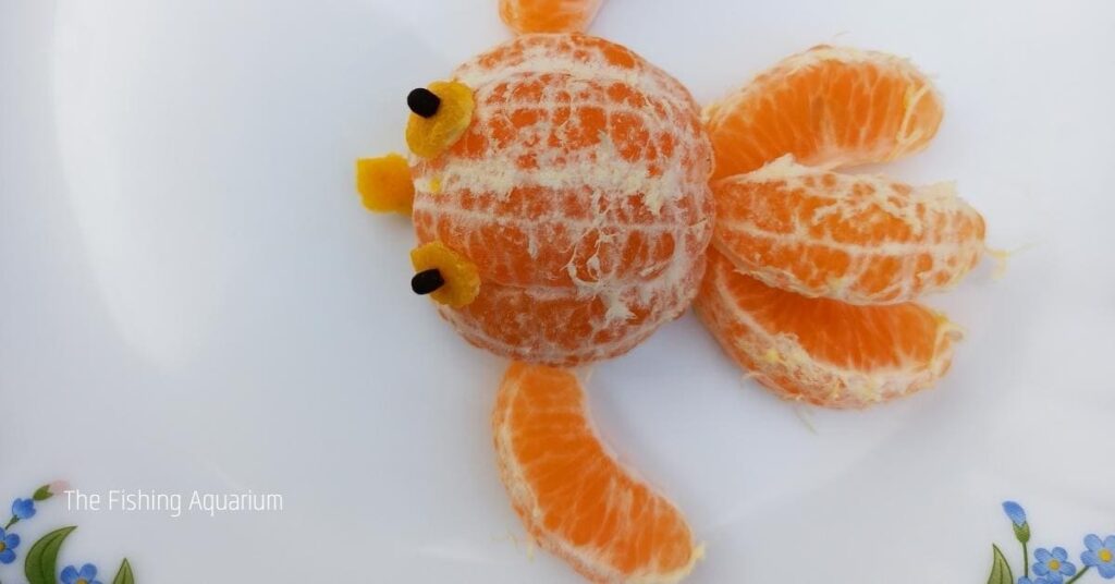 will oranges make your turtle sick
