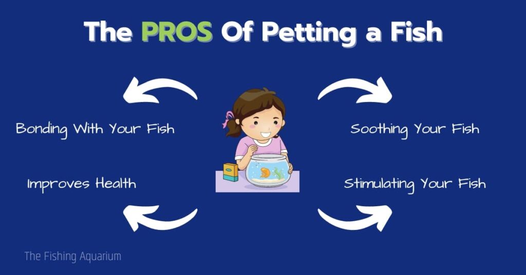 The PROS Of Petting a Fish